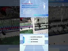 অ্যান্টি-কোরোসিওন লাইন