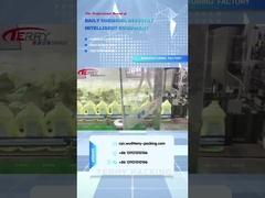 2L পরিষ্কারের যত্ন পণ্য shengdailisha